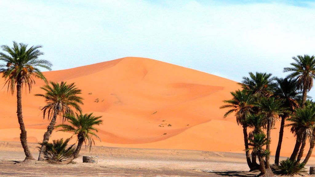 Oasis