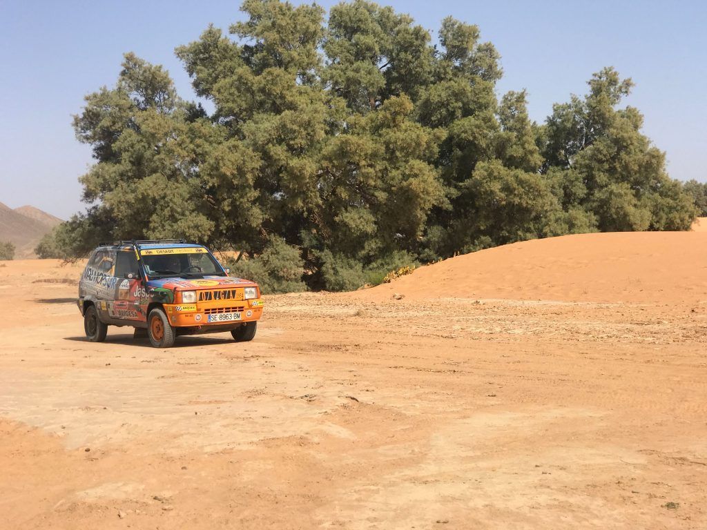 Desert Trophy Panda 2019
