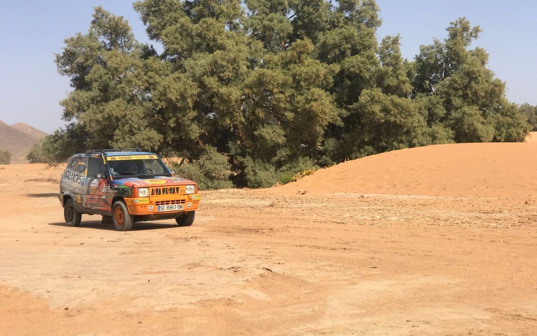 Desert Trophy Panda 2019