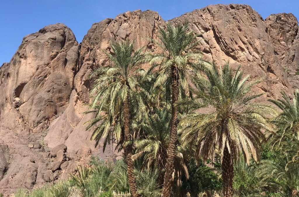 Nomah Desert Adventure Semana Santa 2019