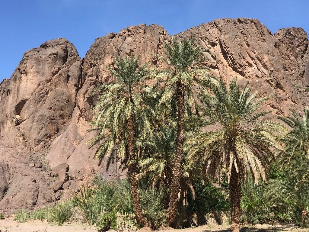Nomah Desert Adventure Semana Santa 2019